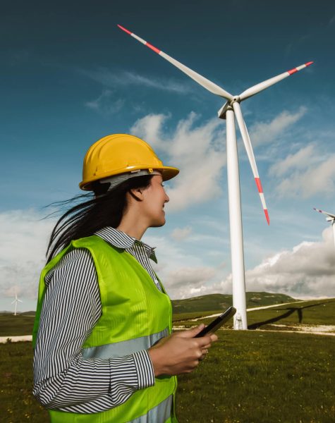 Windmill engineer inspection and progress check wind turbine-img